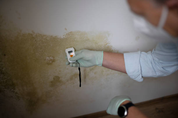 Best Emergency Mold Removal  in Melissa, TX